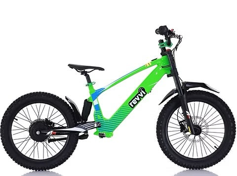 Revvi 20” Green