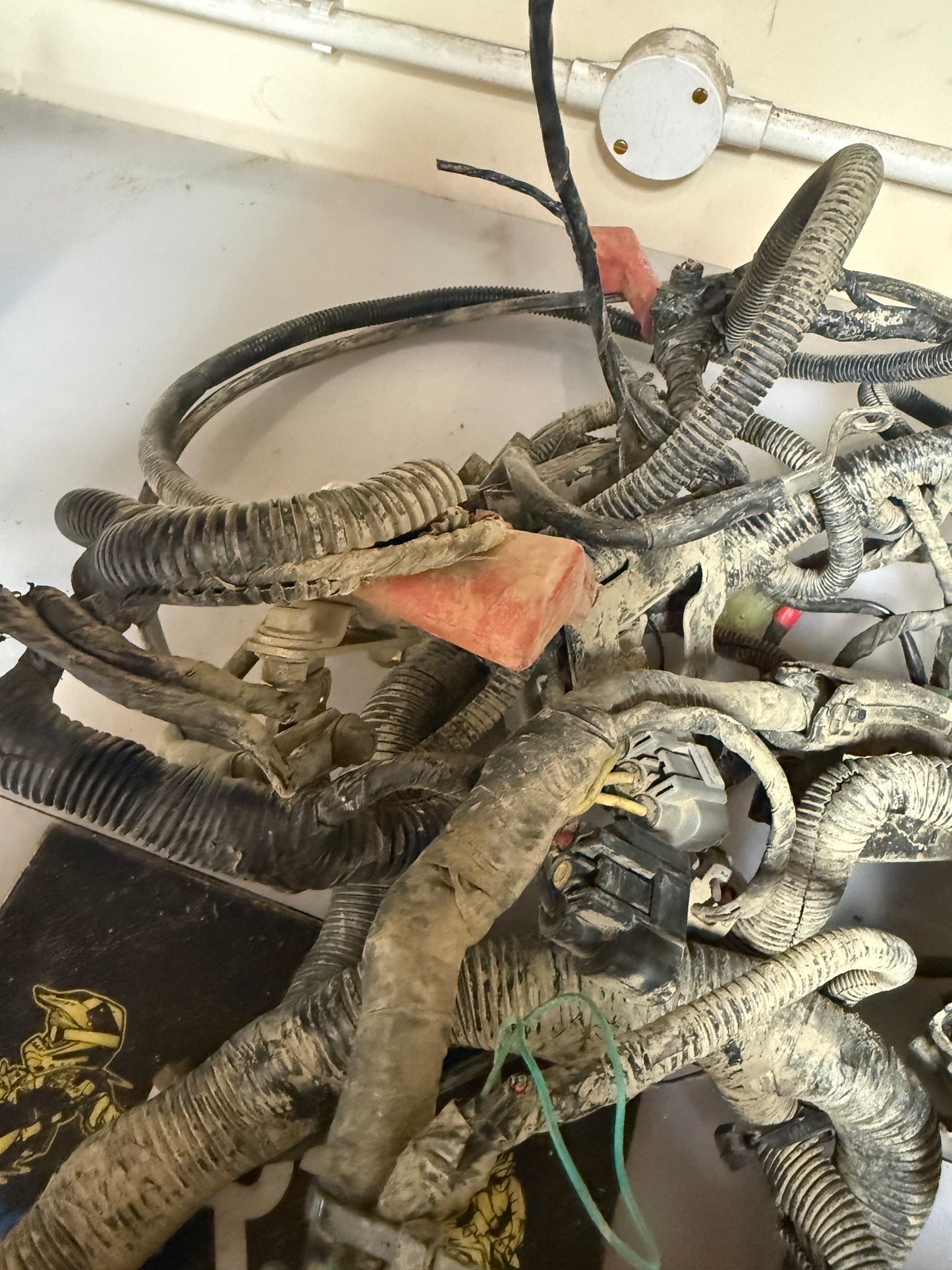 Can-am renegade 800 2010 wiring harness