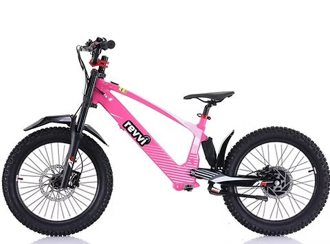 Revvi 20” Pink