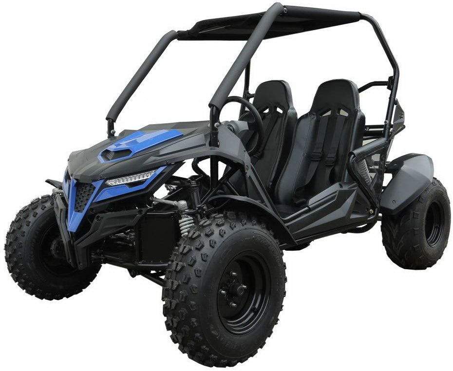 STINGRAY 210 OFF ROAD KIDS BUGGY