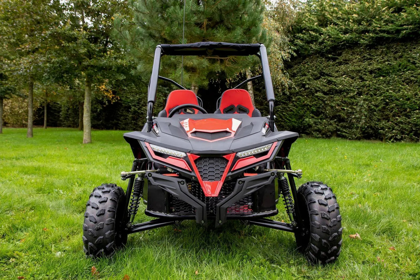 STINGRAY 210 OFF ROAD KIDS BUGGY