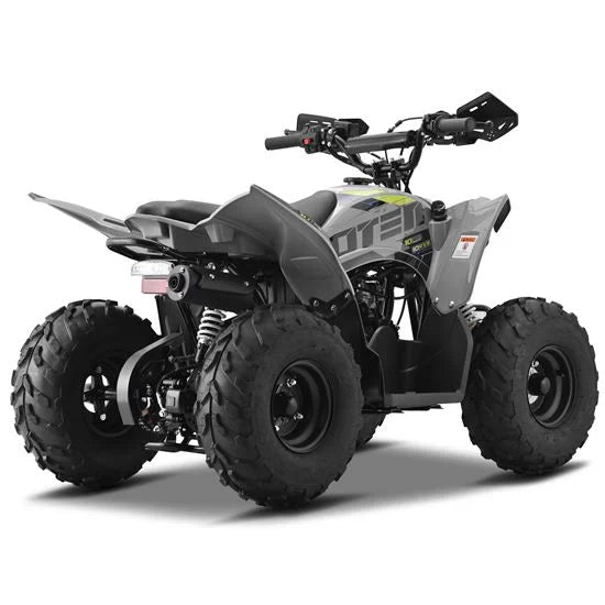 10TEN 110 RXR Kids Quad Bike 110cc
