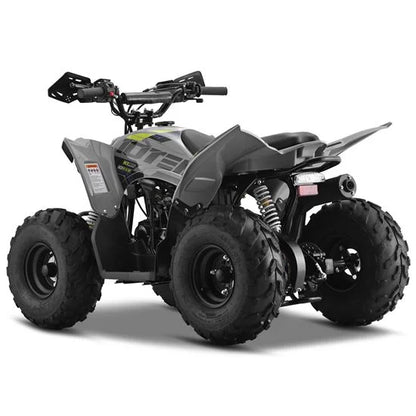 10TEN 110 RXR Kids Quad Bike 110cc
