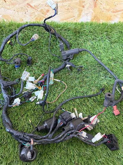 Lexmoto valiant 125 2019-24k km wiring loom