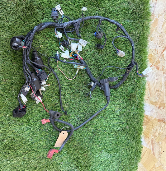 Lexmoto valiant 125 2019-24k km wiring loom