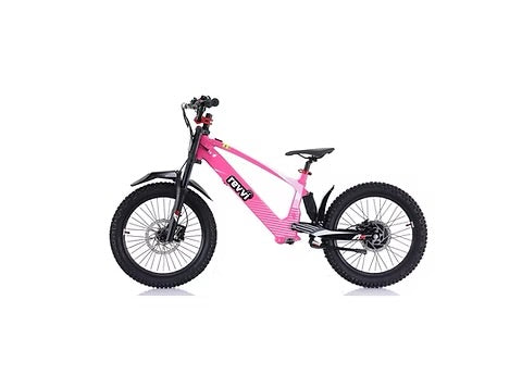 Revvi 20” Pink