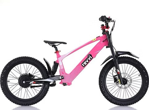 Revvi 20” Pink