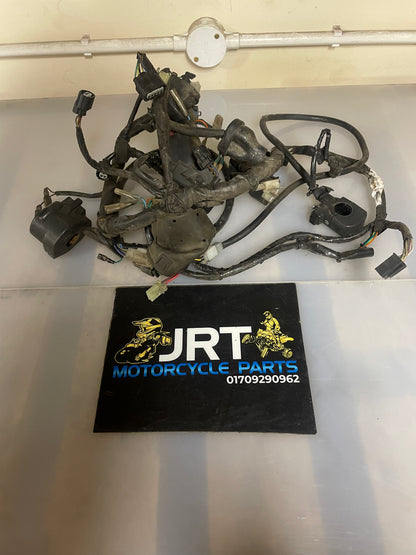 Honda CBF125 2009 wiring loom CBF 125