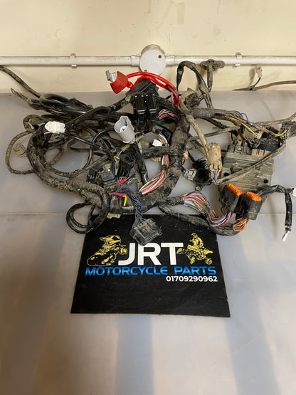 Yamaha Grizzly 700 wiring loom & regulator 2016
