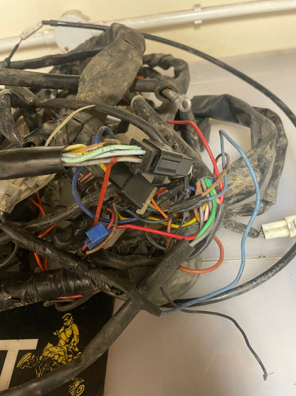 Yamaha raptor 700 wiring loom 2011