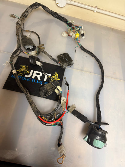 Lexmoto ZSB 125 2015 wiring loom