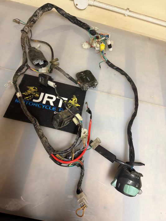 Lexmoto ZSB 125 2015 wiring loom