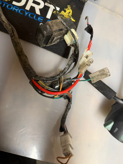 Lexmoto ZSB 125 2015 wiring loom