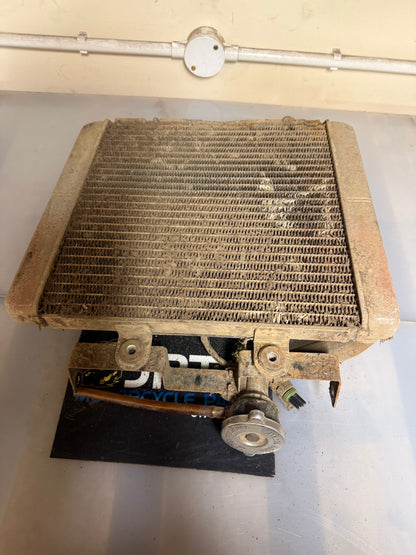 Polaris sportsman 500 H.O 2006 radiator