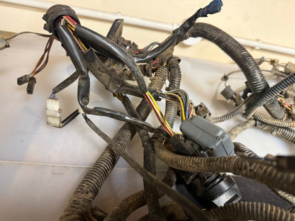 Polaris sportsman 500 H.O 2006 wiring loom