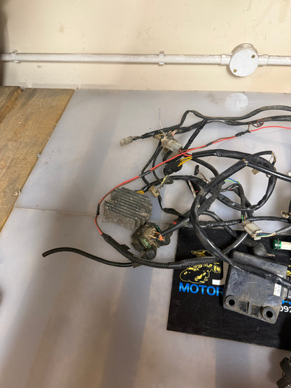 KTM XC 450 wiring loom atv quad ECU 2009