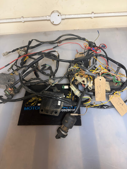 KTM XC 450 wiring loom atv quad ECU 2009