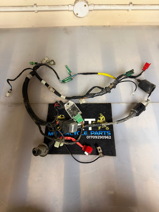 Yamaha YFM 90 2018 wiring loom