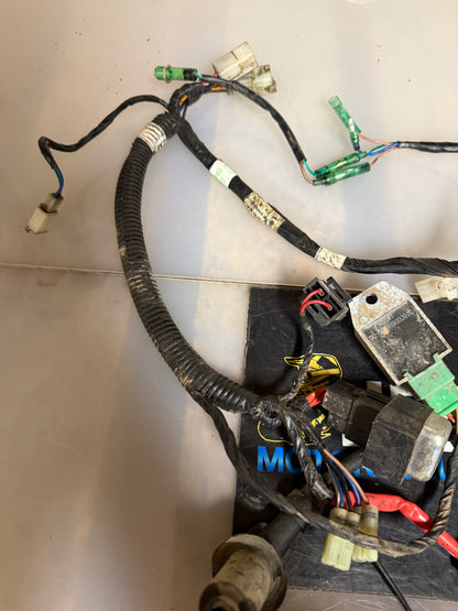 Yamaha YFM 90 2018 wiring loom