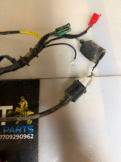 Yamaha YFM 90 2018 wiring loom