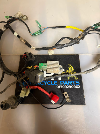 Yamaha YFM 90 2018 wiring loom
