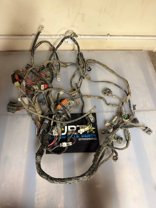 Yamaha Kodiak 700 2020 wiring loom