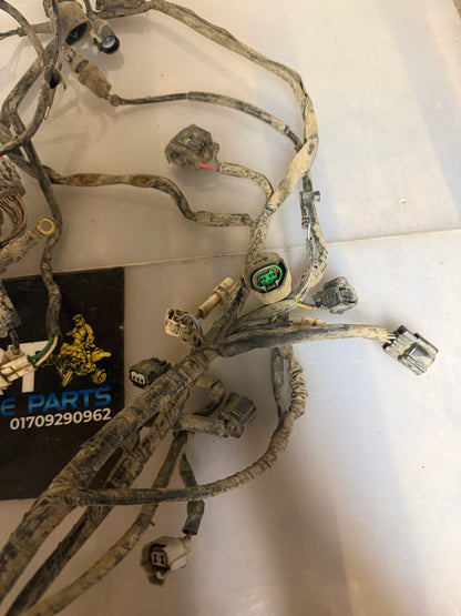 Yamaha Kodiak 700 2020 wiring loom
