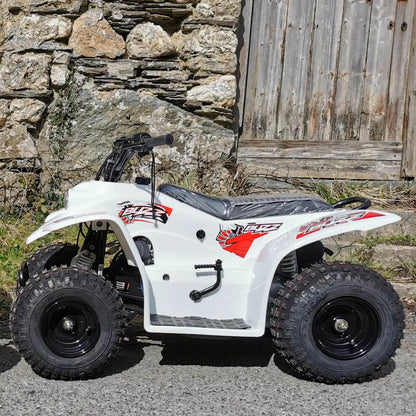 QuadZilla Buzz 50 Kids Quad ATV