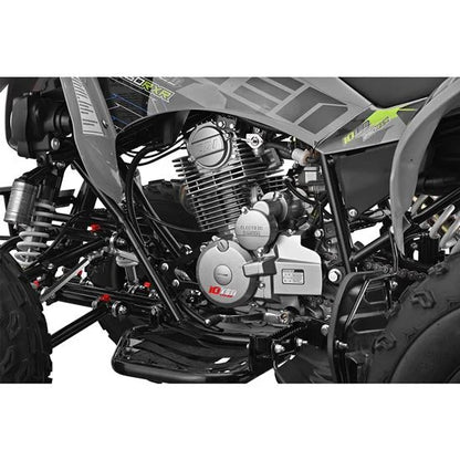 10TEN 250 RXR Quad ATV Bike