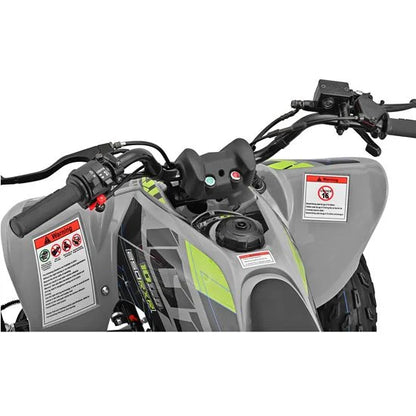 10TEN 250 RXR Quad ATV Bike
