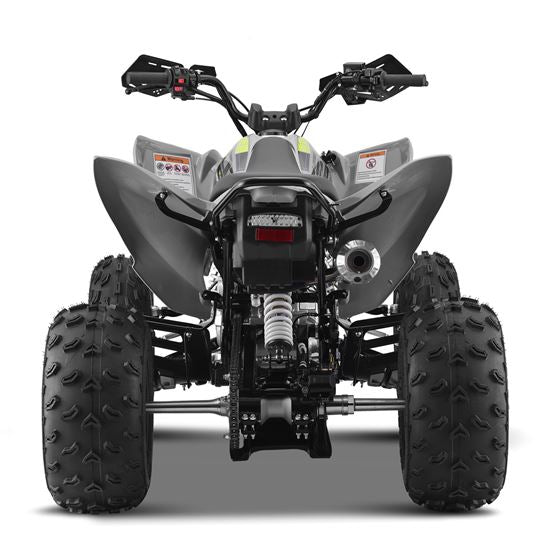 10TEN 250 RXR Quad ATV Bike