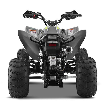 10TEN 250 RXR Quad ATV Bike